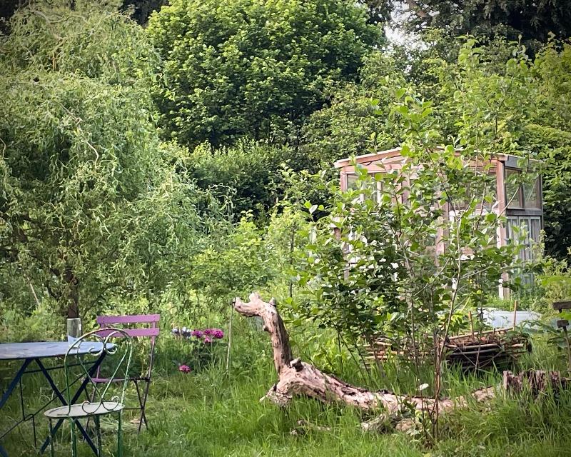 20260723_194055_nat-rn-terrain-1711_photo_Jardin .jpg
